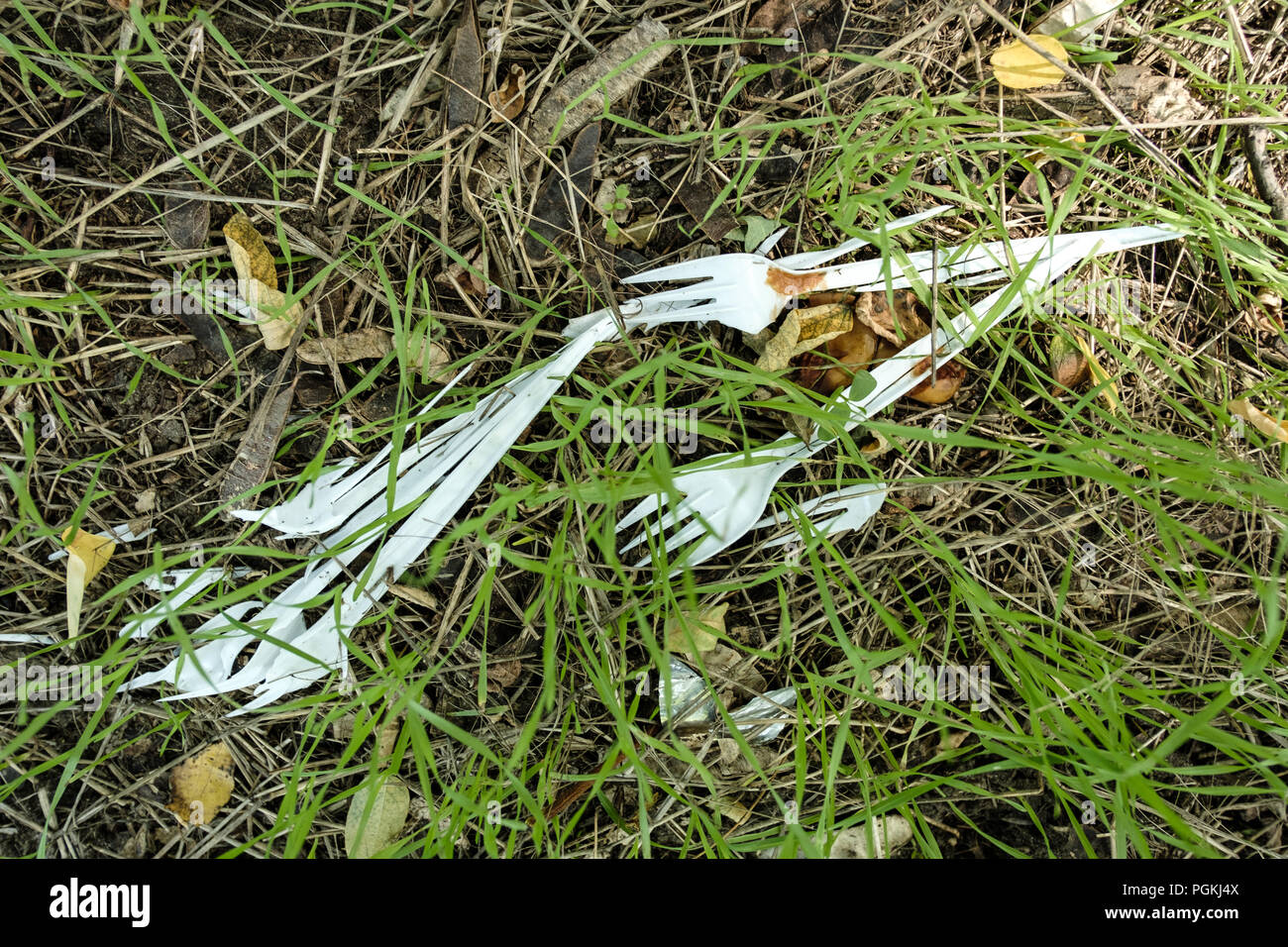 Plastic garbage on nature grows grass. Plastic forks. Plastic tableware. Stock Photo