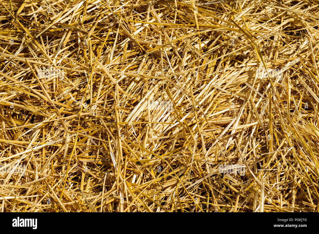 Hay Stack Vintage High Resolution Stock Photography and Images - Alamy