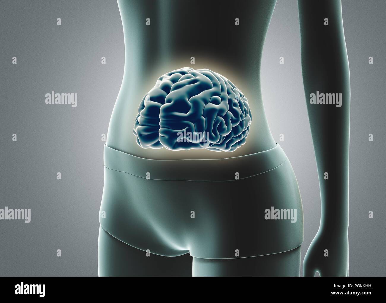 Human brain in stomach, 3d render illustration Stock Photo