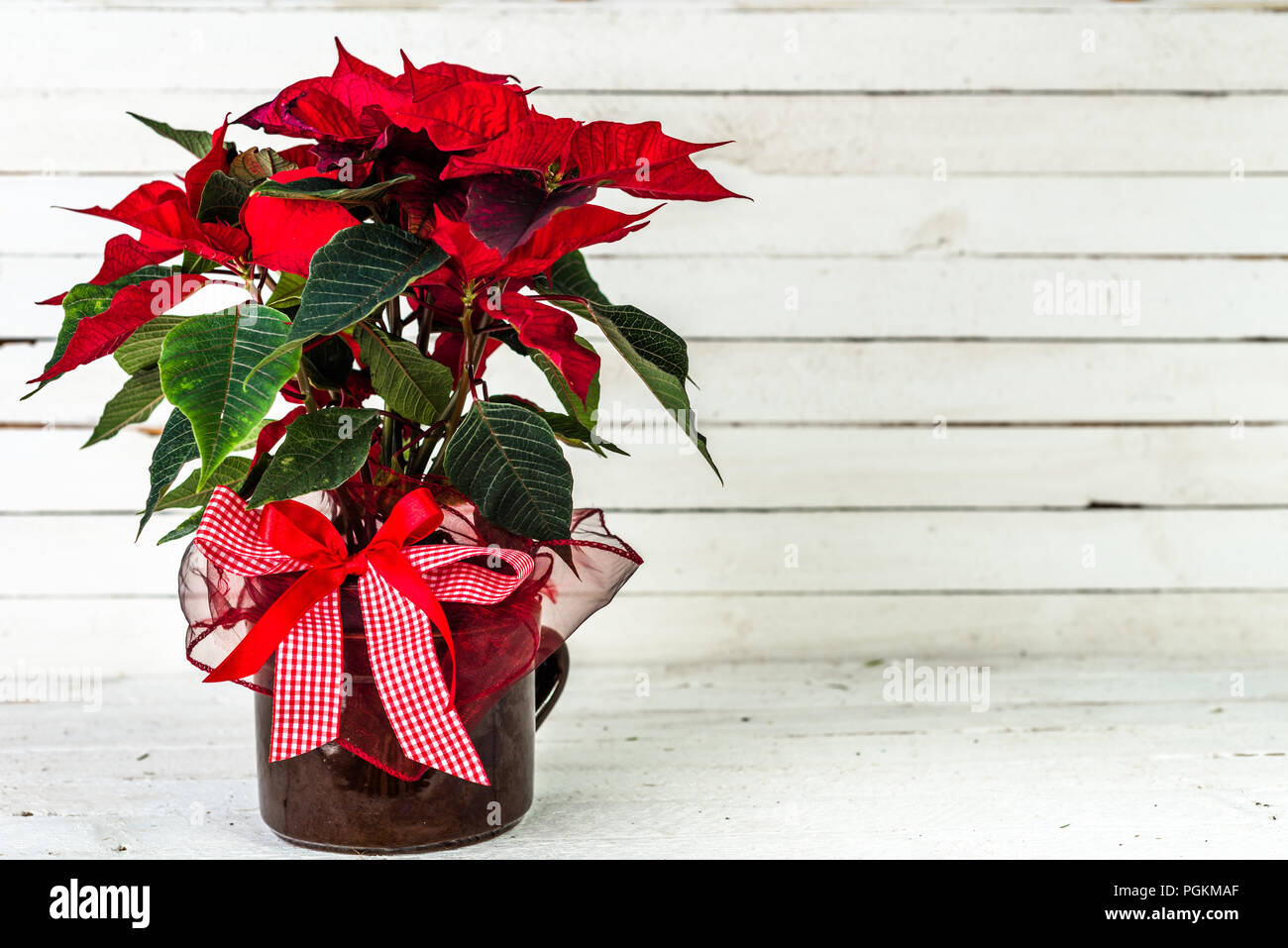Red Poinsettia Christmas Flower Table Decoration On Rustic