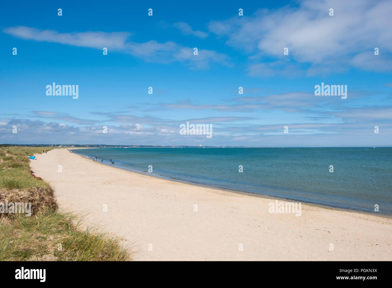 A view of the beach at Studland Bay, Jurassic Coast, Dorset, UK Stock Photo