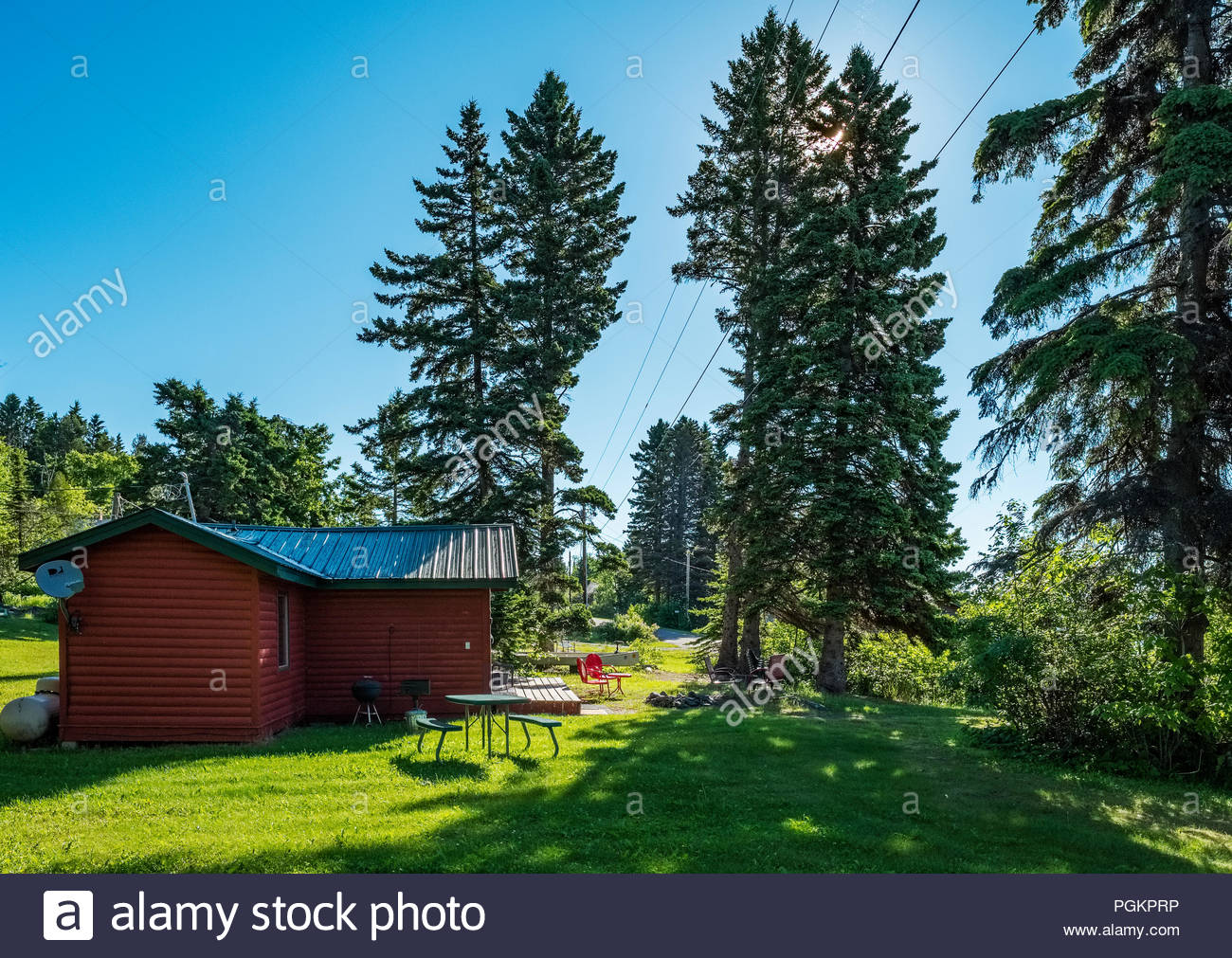 Morning Sun Filters Through Evergreen Trees By A Cabin Located A