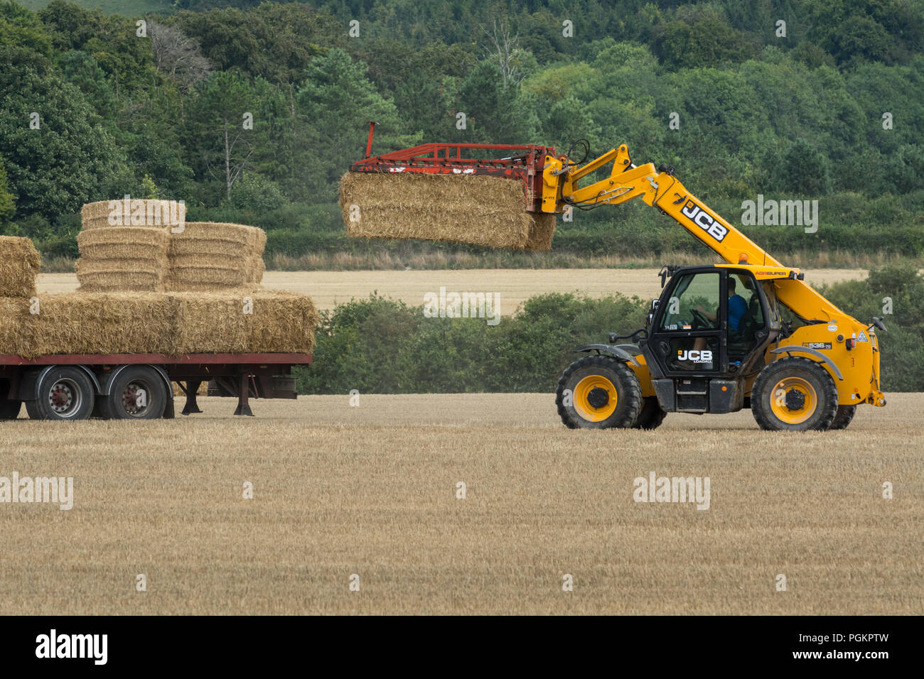 Bringing in the harvest. A tractor loading bales of straw onto a trailer in a field in Hampshire, UK, during August Stock Photo