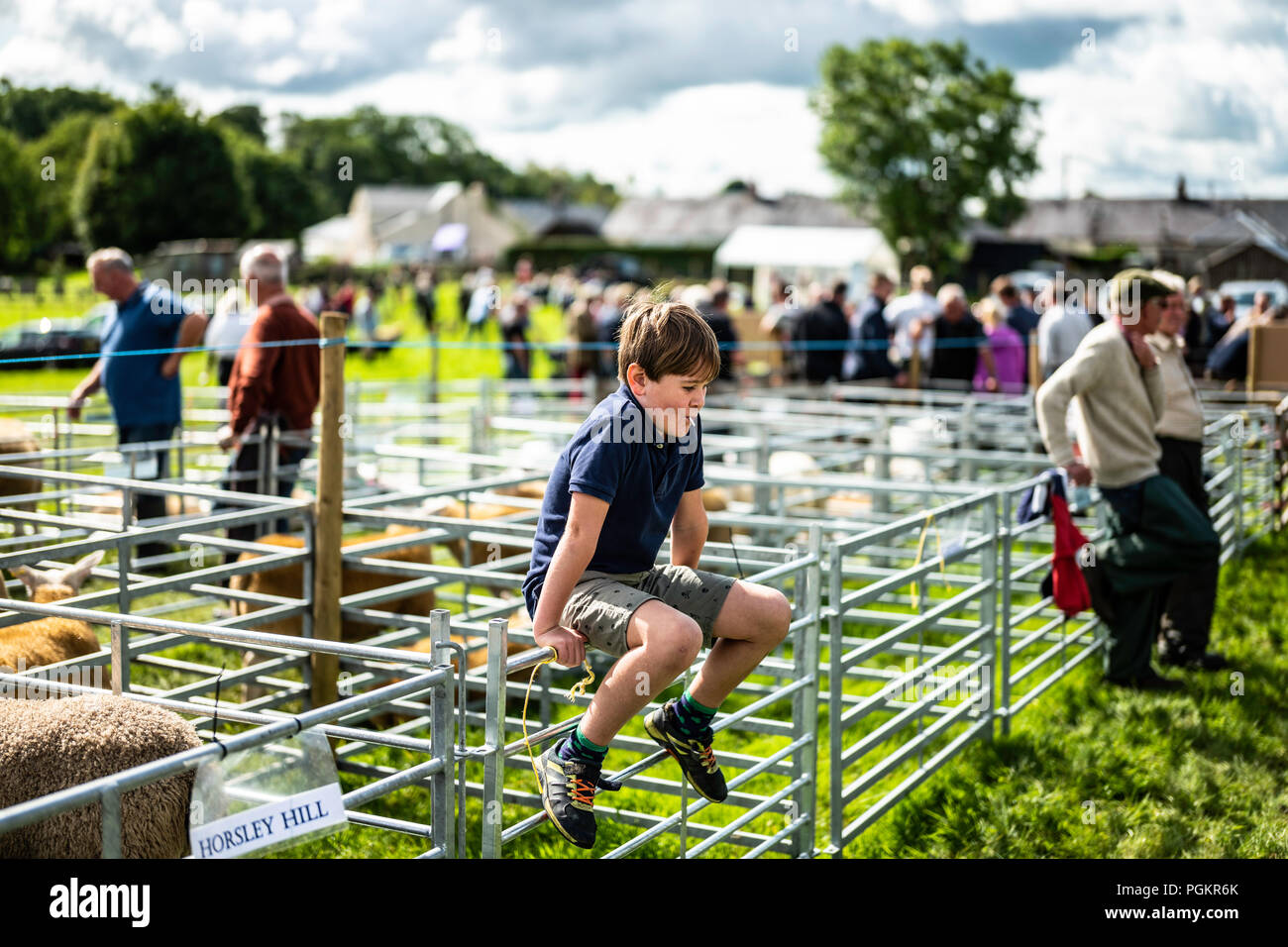 Newcastleton Or Copshaw Holm High Resolution Stock Photography and ...