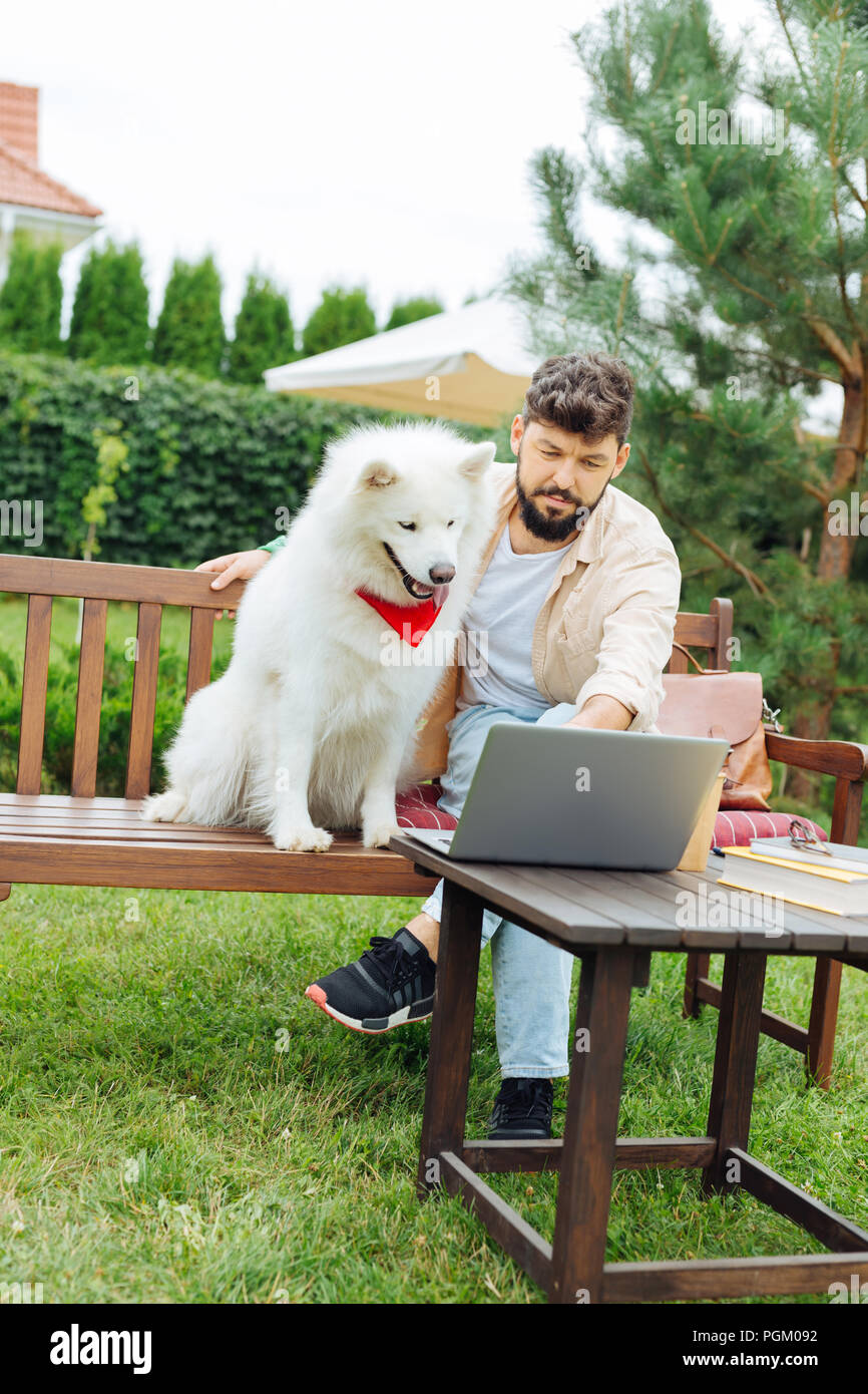 White husky standing on the bench near his handsome owner Stock Photo ...
