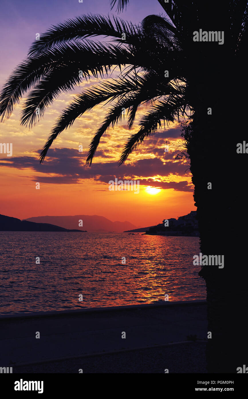 Palm tree silhouette on beach during beautiful sunset Stock Photo - Alamy