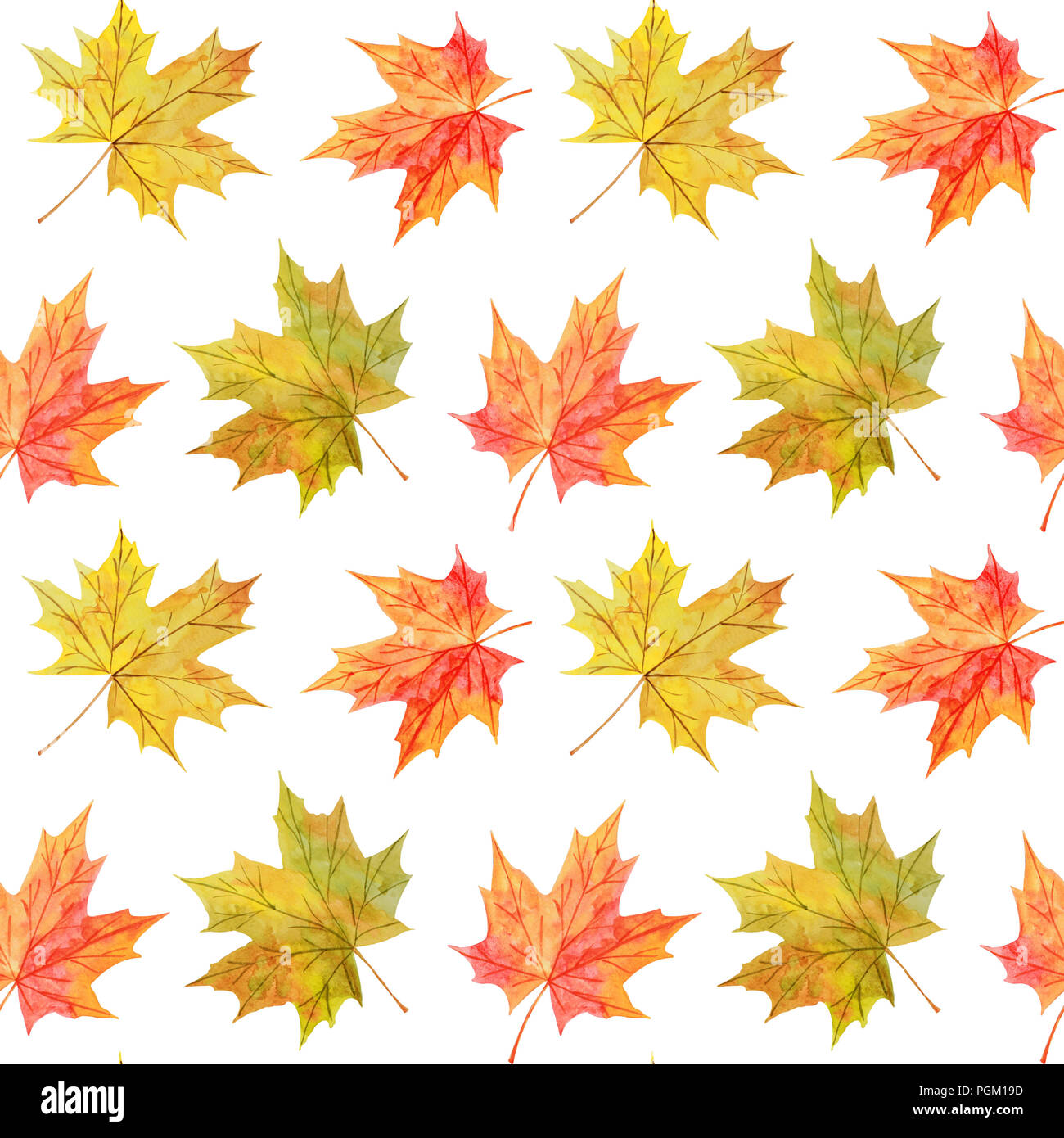 Colorful seamless pattern with watercolor autumn maple leaves on white ...