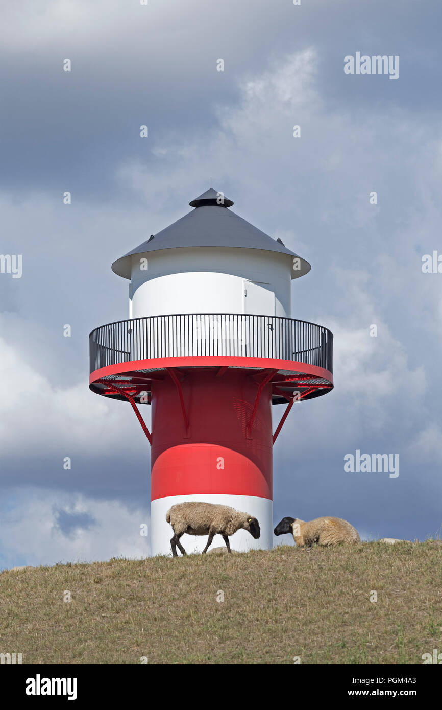 sheep in front of lighthouse, Luehe, Altes Land (old country), Lower Saxony, Germany Stock Photo