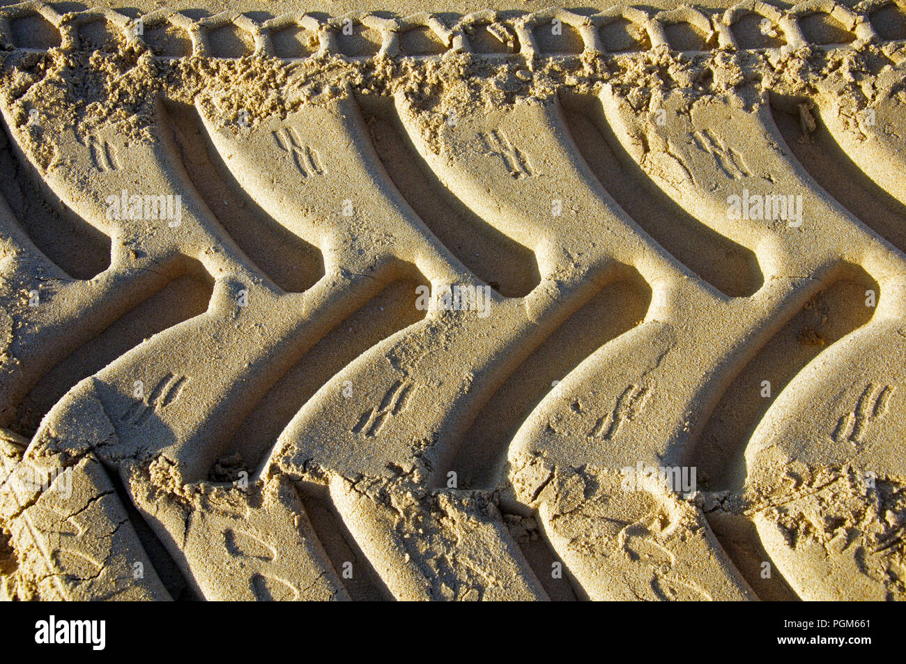 Traces of tyres on the yellow sand, morning, summer Stock Photo