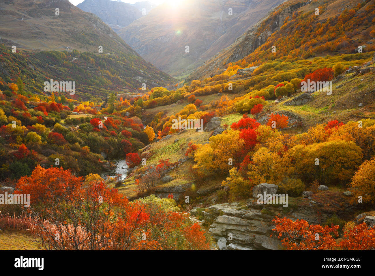 Autumn landscape of a forest with colorful trees in a mountain Stock ...