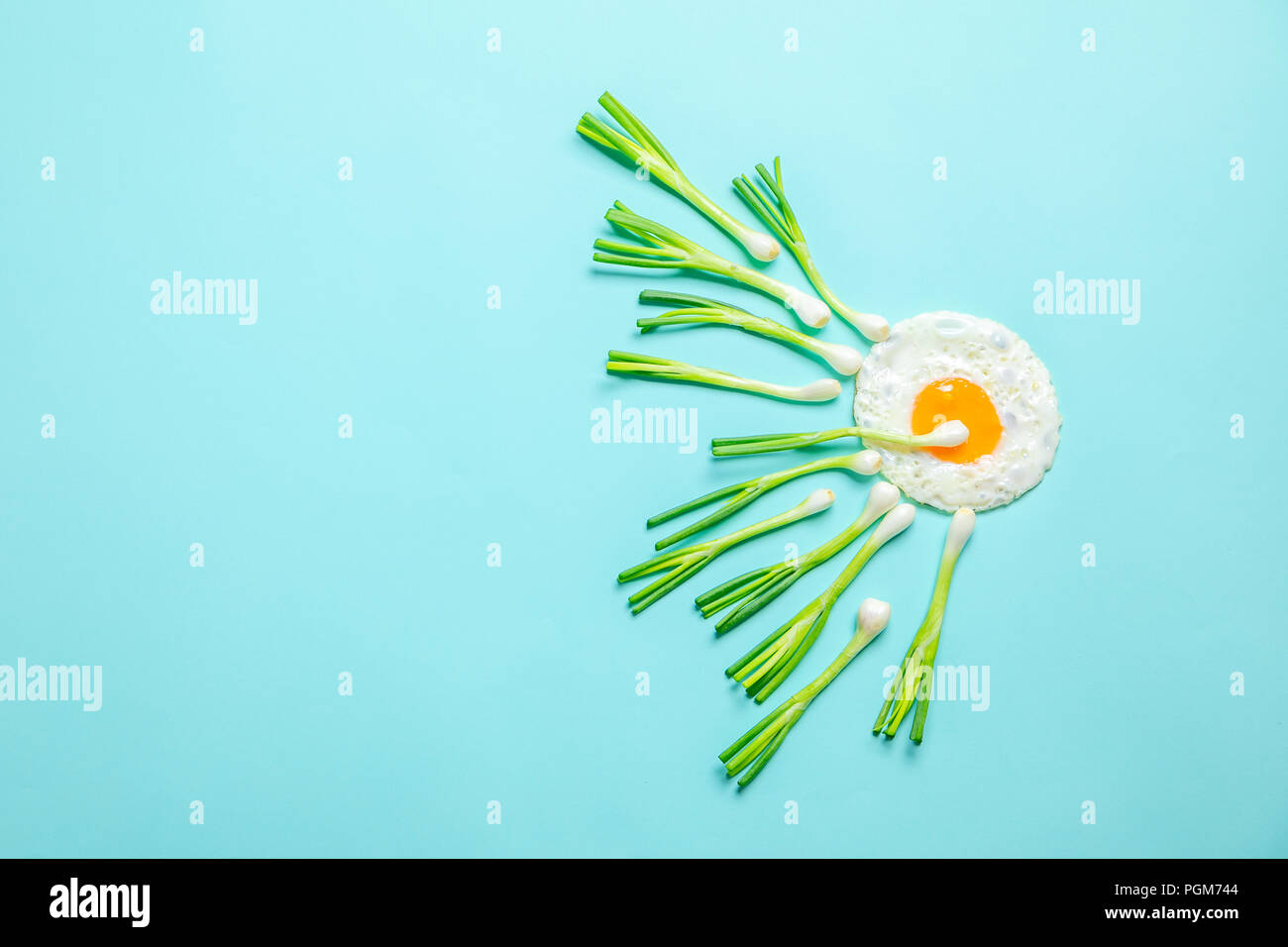 Sperm and egg fertilization hi-res stock photography and images - Alamy