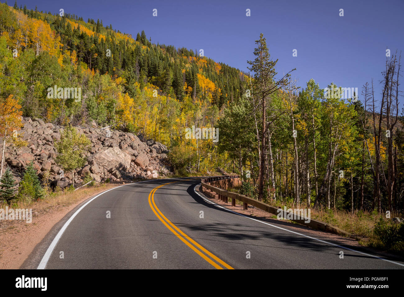 Aspen trees in fall colors along the Bear Lake road in the Rocky Mountain National Park, Colorado, USA Stock Photo