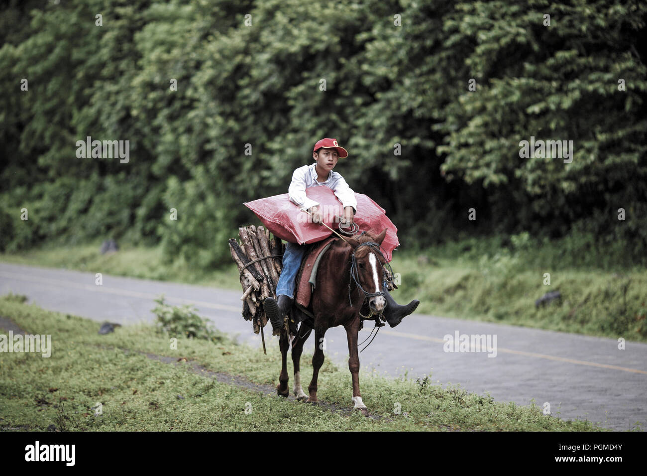 Young man carrying firewood hires stock photography and images Alamy