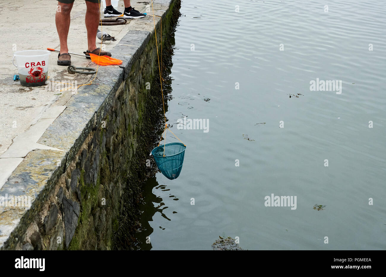 Crab Fishing at Aberaeron Harbour Stock Photo