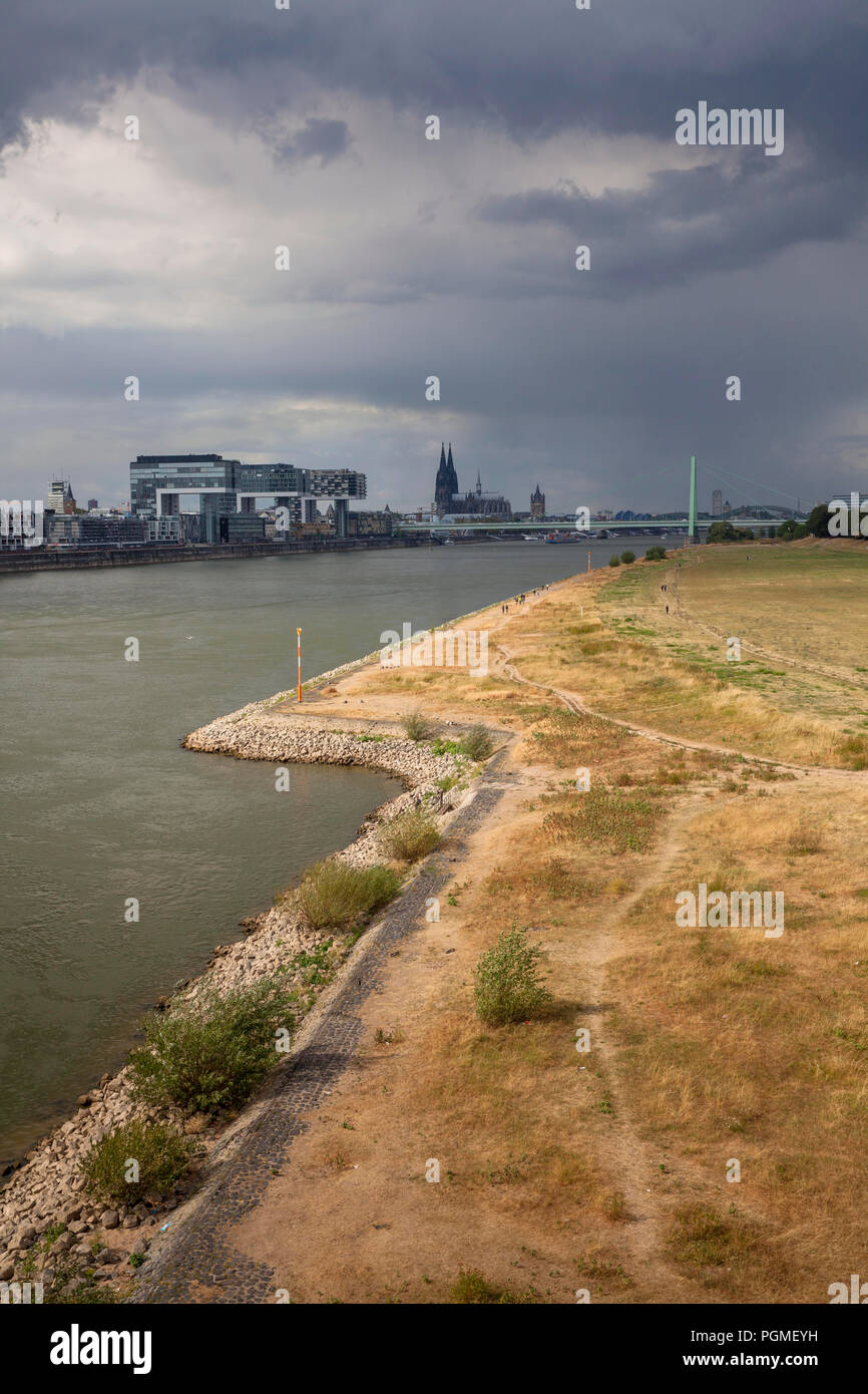 low water of the river Rhine, August 25, 2018, rain clouds above the dried up meadows on the river Rhine, view to the Rheinau harbor and the cathedral Stock Photo
