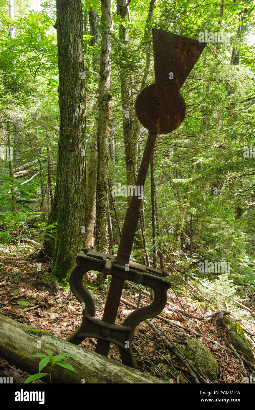 A harp switch stand along an abandoned spur line of the East Branch