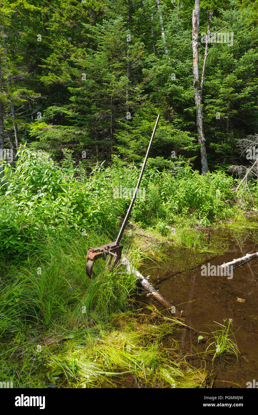 A harp switch stand along an abandoned spur line of the East Branch