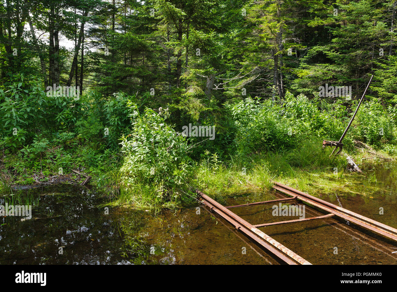 A harp switch stand along an abandoned spur line of the East Branch