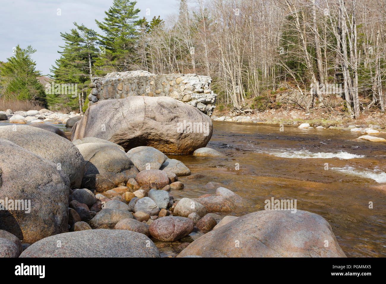 New england forest 1900s hi-res stock photography and images - Alamy