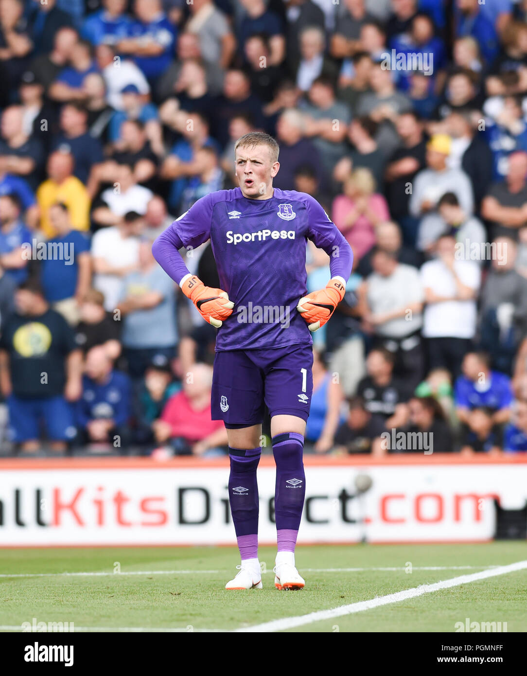 Jordan Pickford of Everton during the Premier League match between AFC Bournemouth and Everton at the Vitality Stadium , Bournemouth , 25 Aug 2018 Editorial use only. No merchandising. For Football images FA and Premier League restrictions apply inc. no internet/mobile usage without FAPL license - for details contact Football Dataco Stock Photo