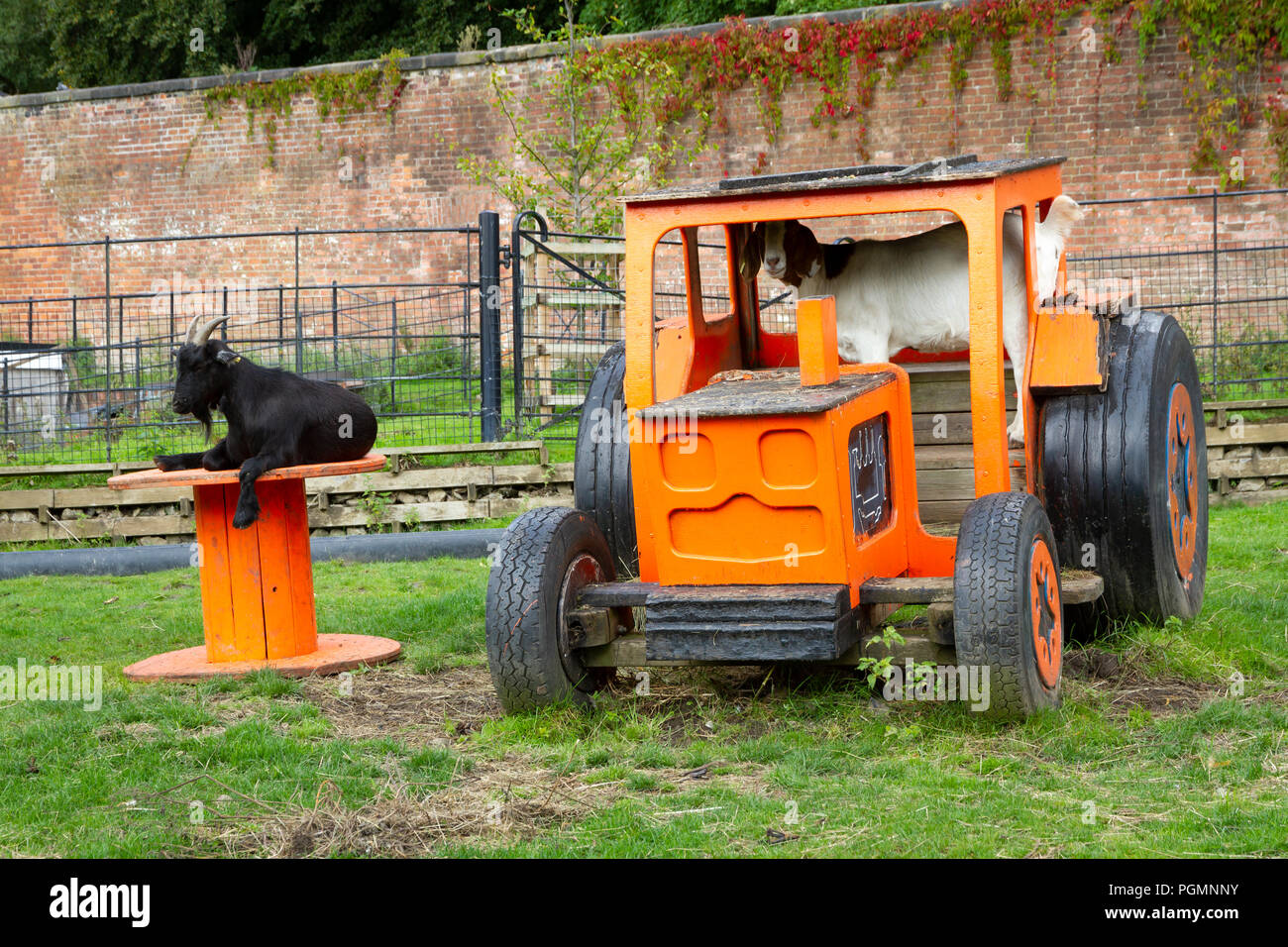 The Stables Animal Centre in Heaton Park, Prestwich, England Stock