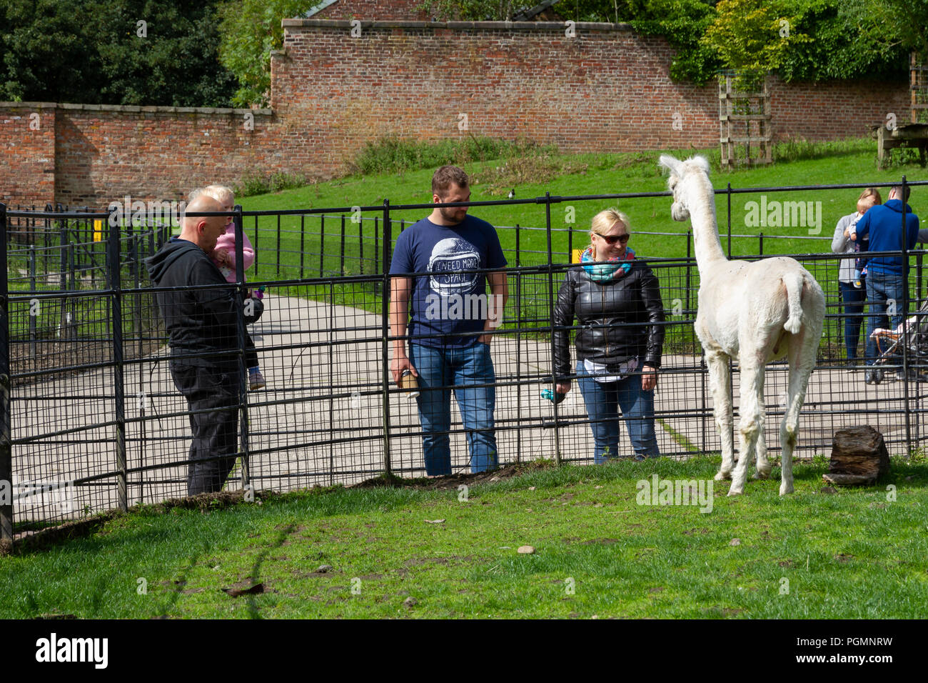 The Stables Animal Centre in Heaton Park, Prestwich, England. Stock Photo