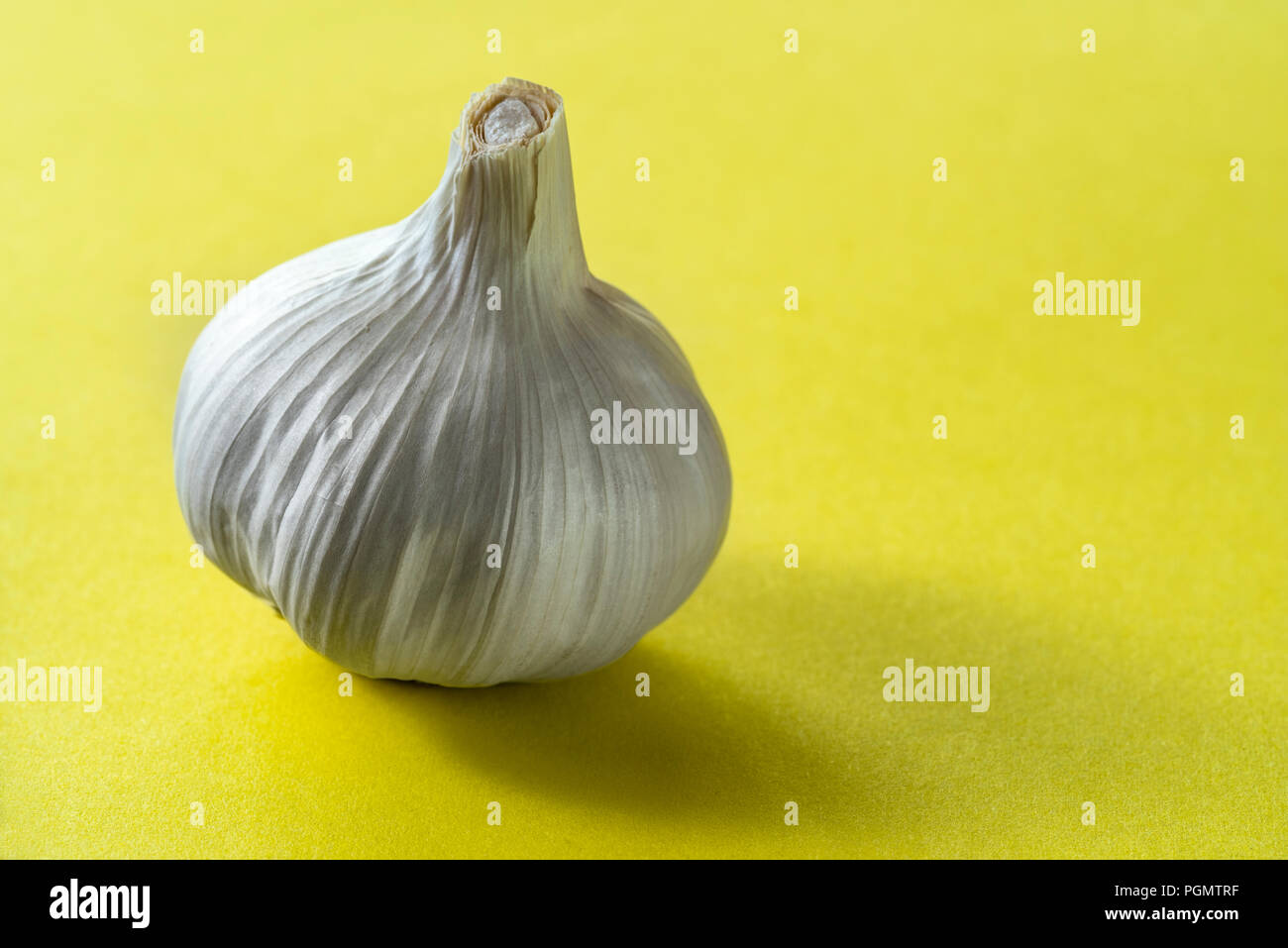 Garlic bulb on an acid yellow background. Stock Photo