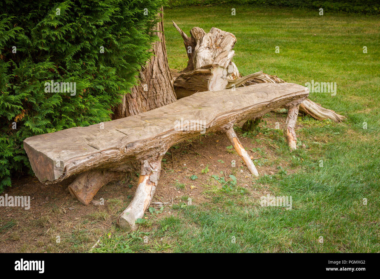 Rustic Bench Made From Tree Trunk In A Lawned Garden Uk Stock Photo Alamy