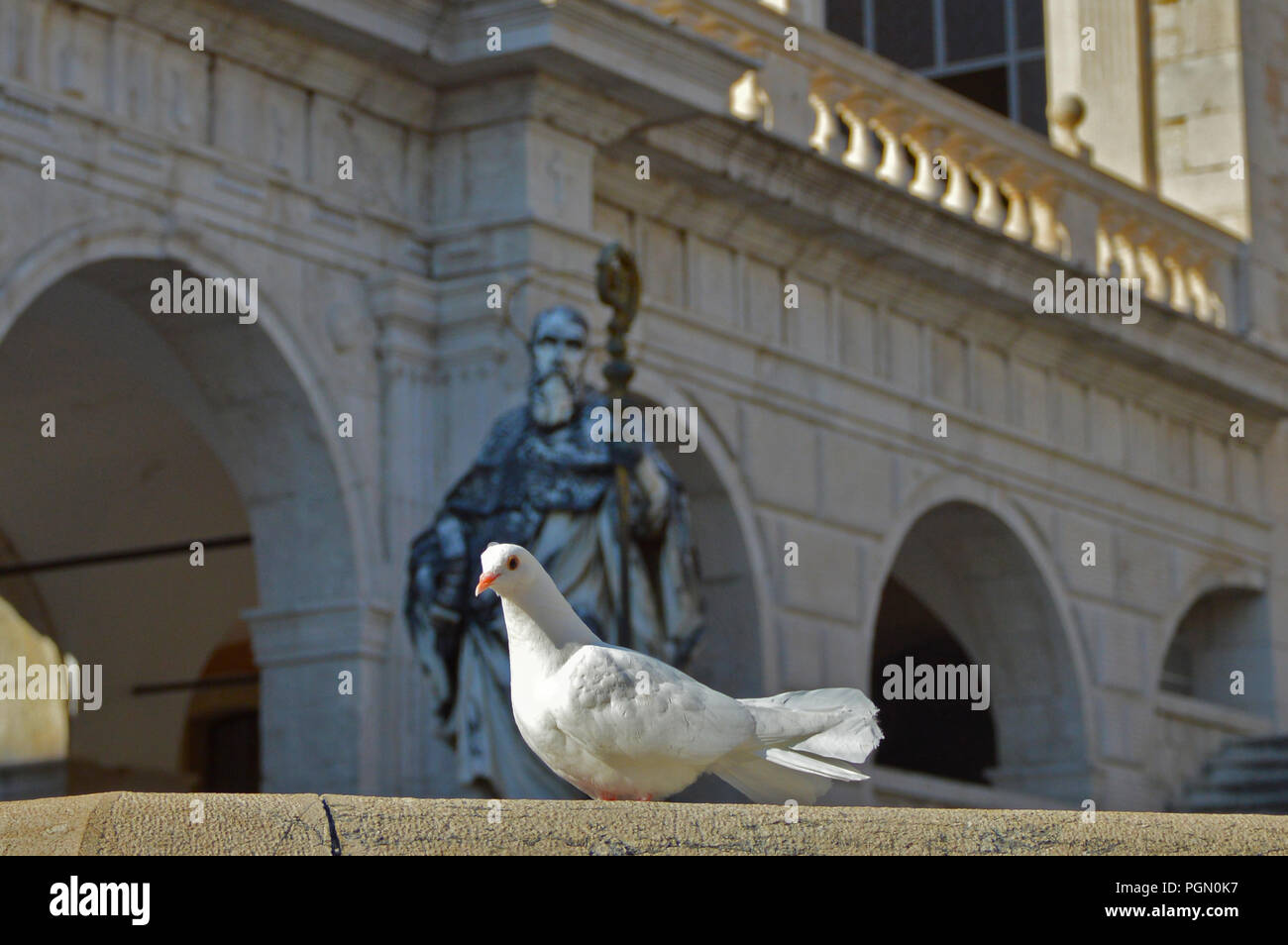 San Benedetto 'osserva' una colomba a Montecassino Stock Photo