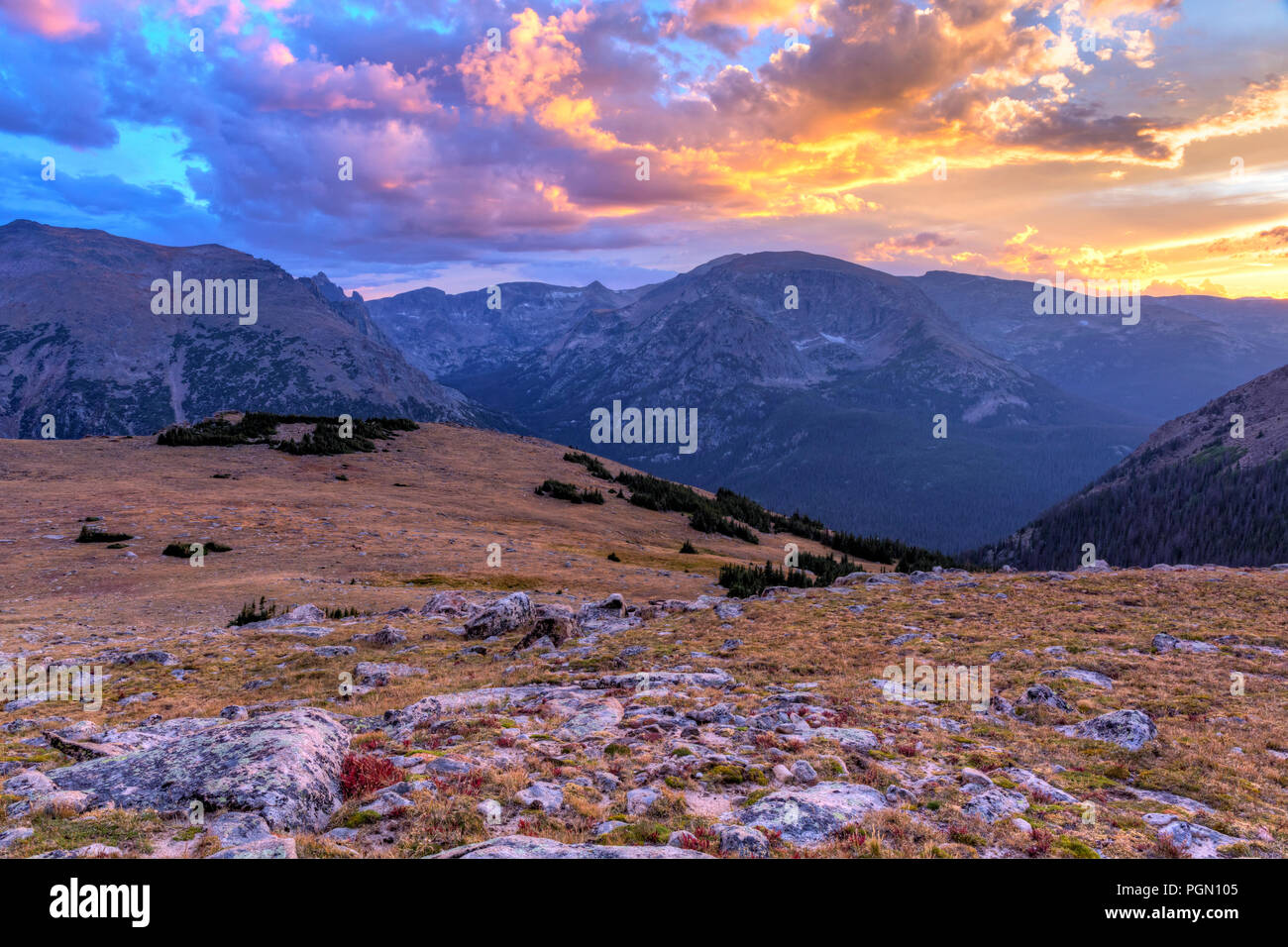 Alpine tundra on the Ute Crossing Trail looking Southwest toward the Continental Divide off Trail Ridge Road in Rocky Mountain National Park, Colorado Stock Photo