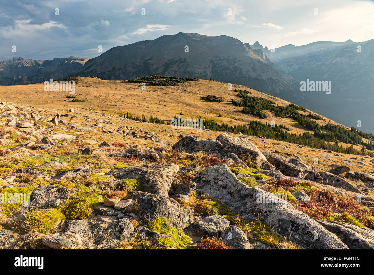 Alpine tundra on the Ute Crossing Trail looking  toward Stones Peak and the Continental Divide off Trail Ridge Road in Rocky Mountain National Park, C Stock Photo