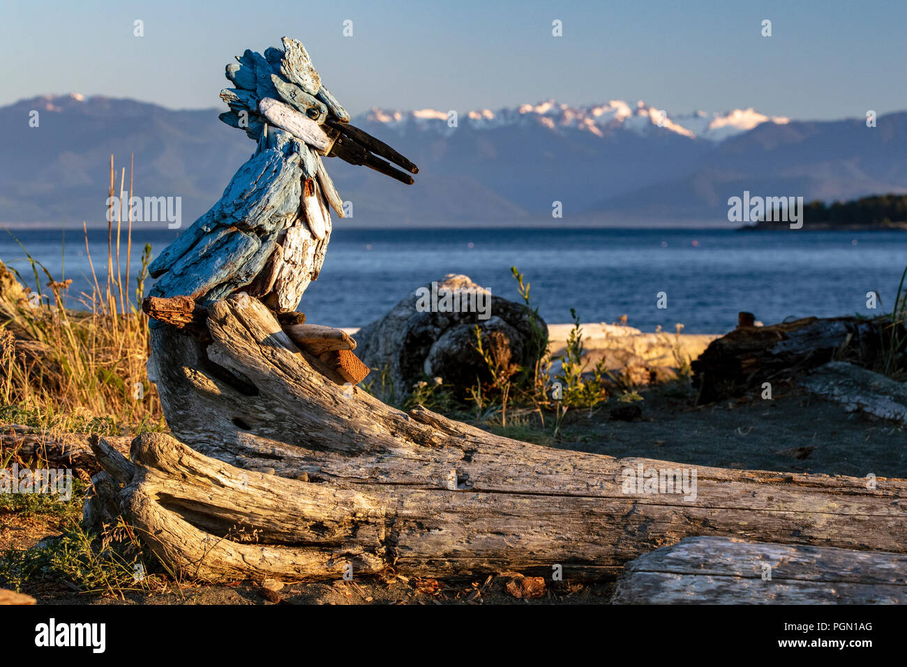 Belted Kingfisher - Driftwood Art by Paul Lewis - Esquimalt Lagoon, Victoria, Vancouver Island, British Columbia, Canada Stock Photo