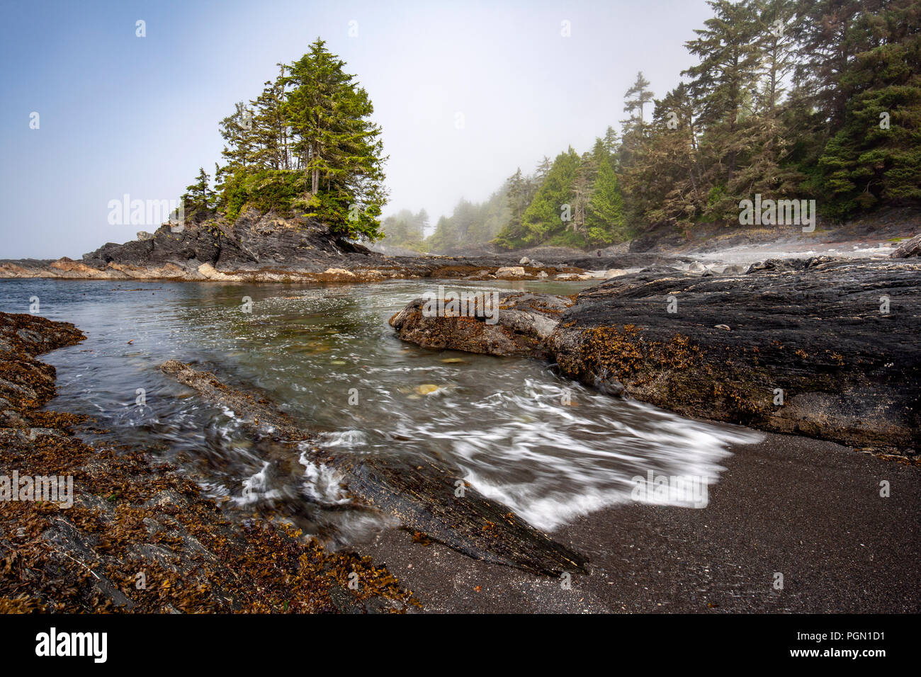 Botanical Beach Provincial Park and Botany Bay - Juan de Fuca Marine Trail - Port Renfrew, Vancouver Island, British Columbia, Canada Stock Photo