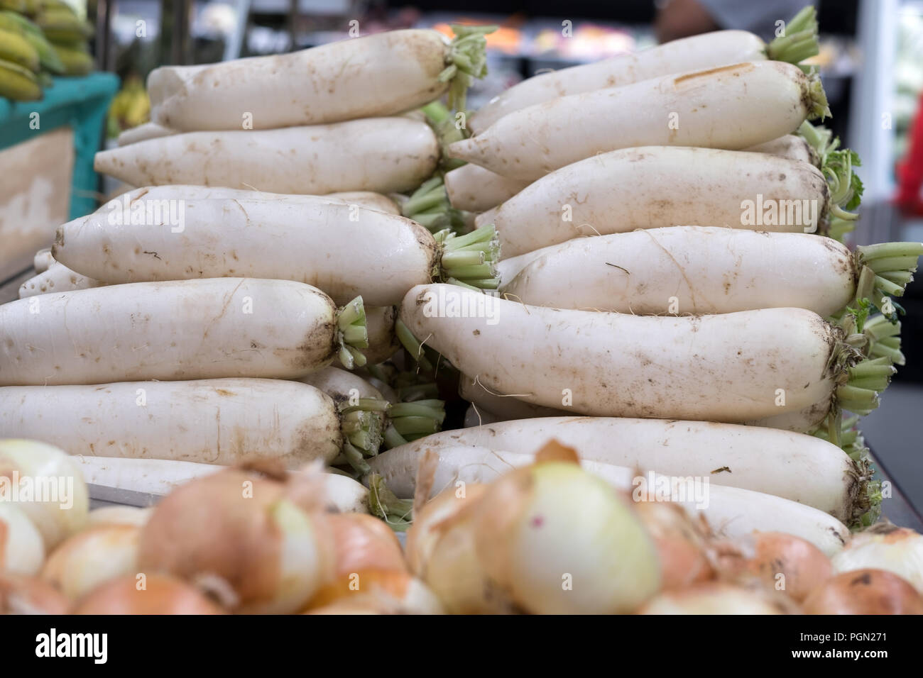 White daikon radishes in the market Stock Photo