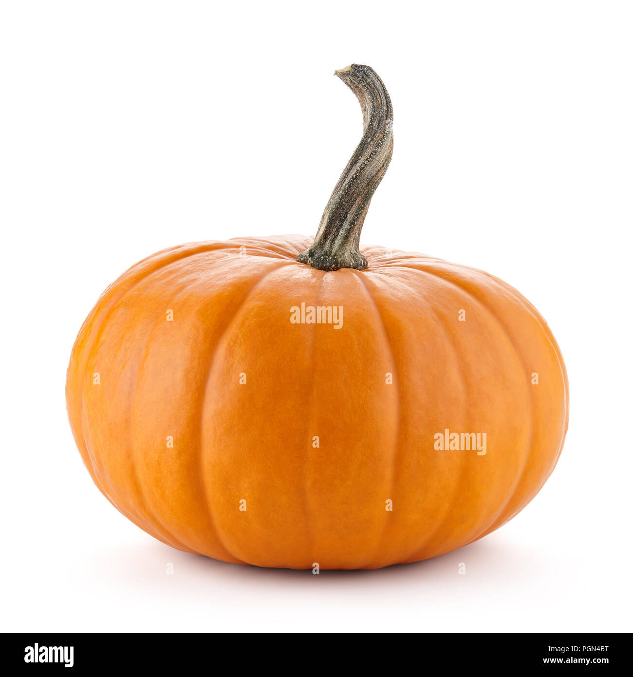 Perfect shape orange pumpkin for Halloween celebration isolated on white Stock Photo