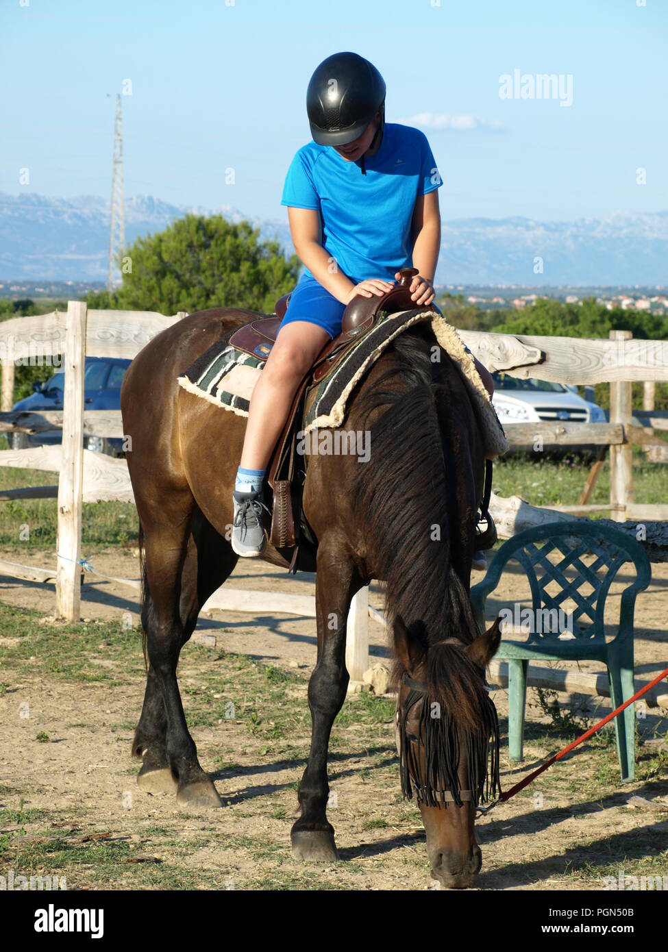 horses and birthday with kids Stock Photo