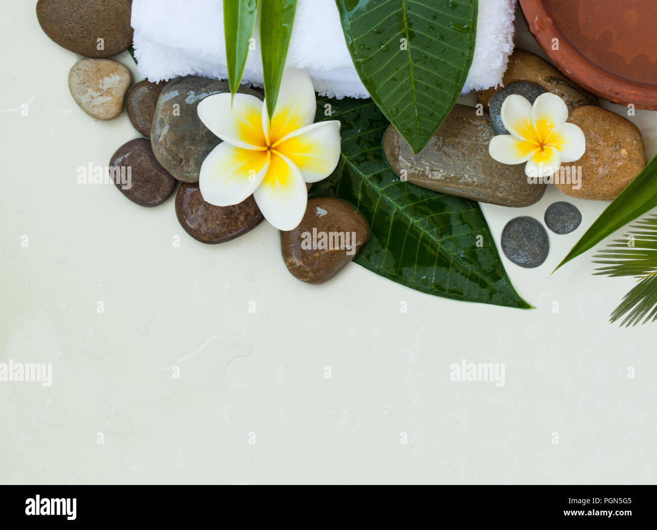 Spa background with green leaves, white flowers and dark stones on ...