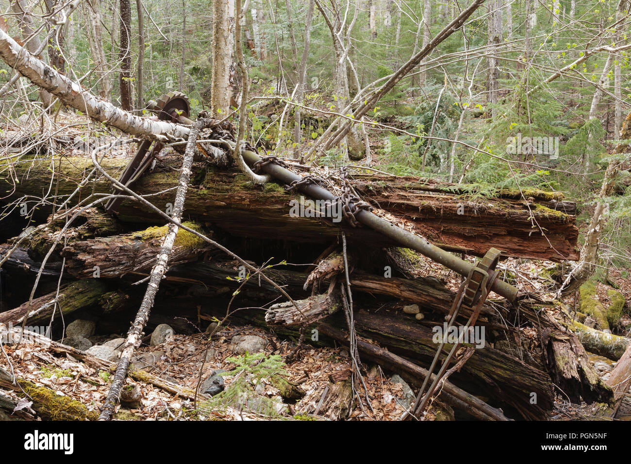 Mad River Logging Era Remnants of a splash dam along Flume Brook near