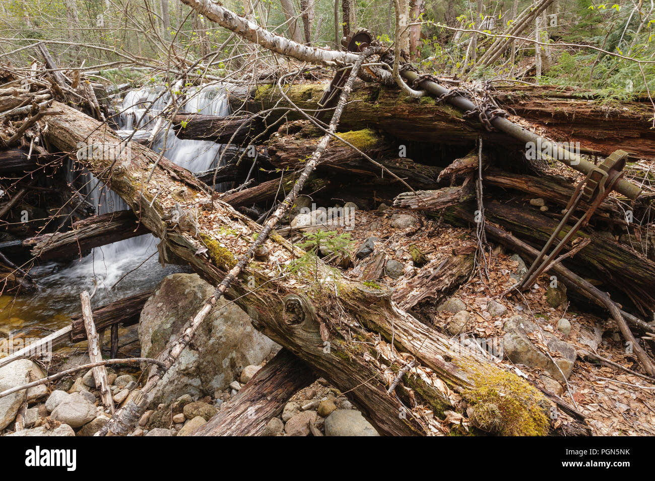 Mad River Logging Era Remnants of a splash dam along Flume Brook near