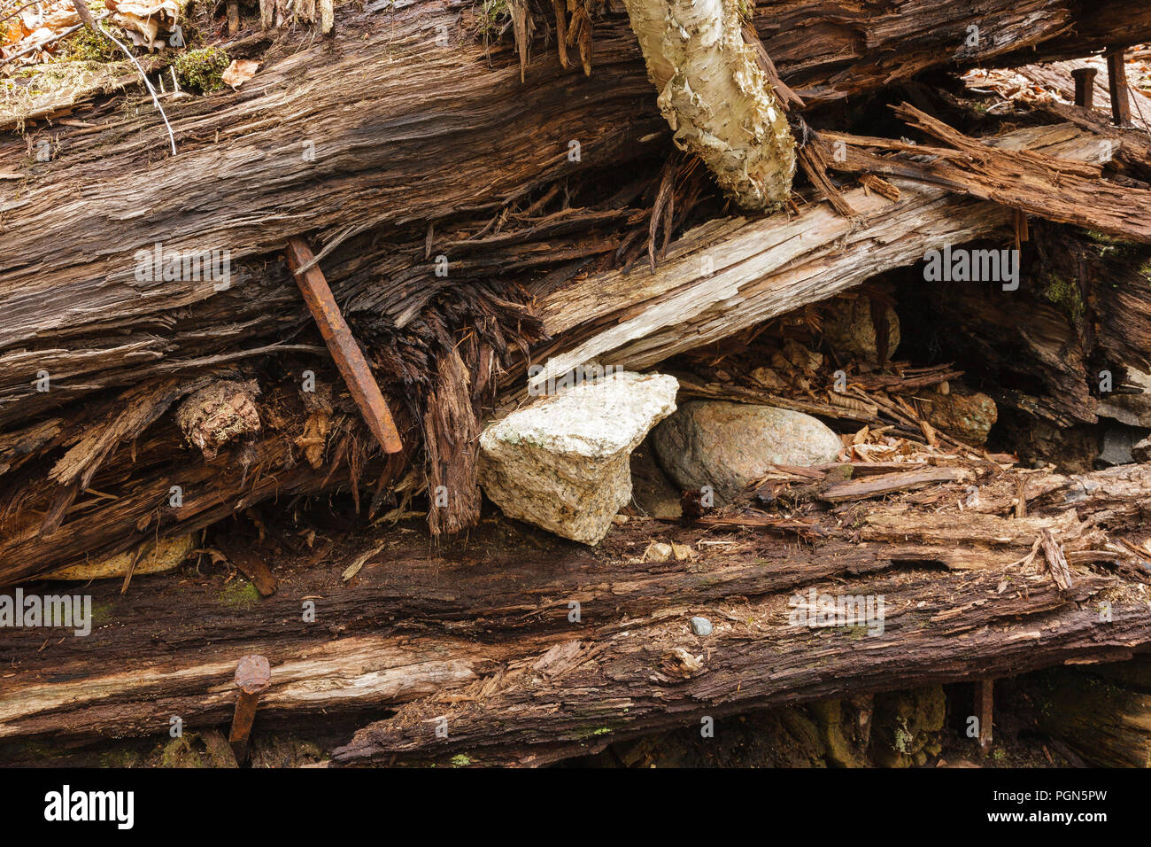 Mad River Logging Era - Remnants of a splash dam along Flume Brook near ...