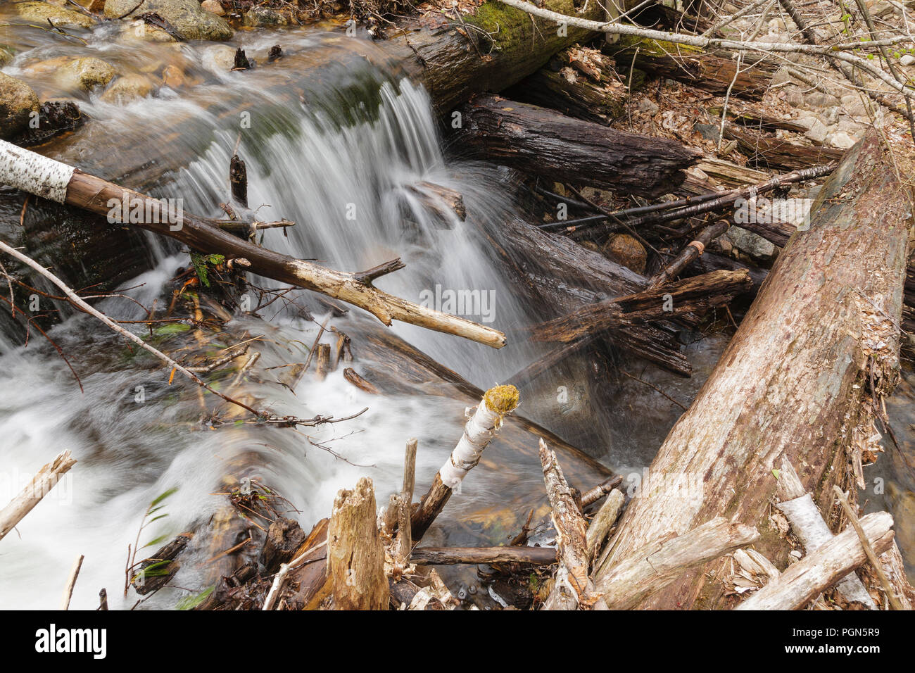 Mad River Logging Era Remnants of a splash dam along Flume Brook near