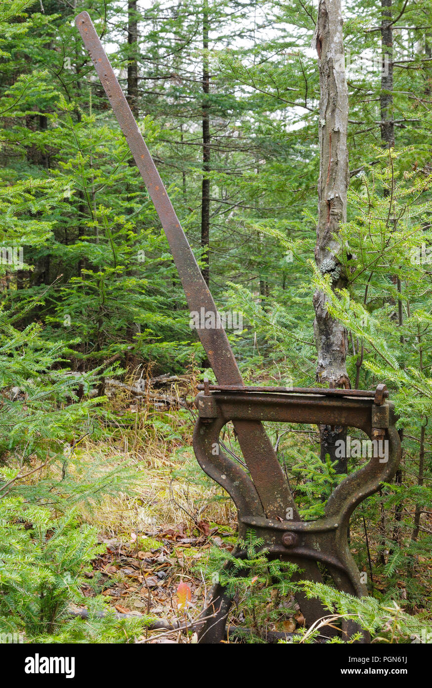 An abandoned harp switch stand along the old Beebe River Railroad (1917