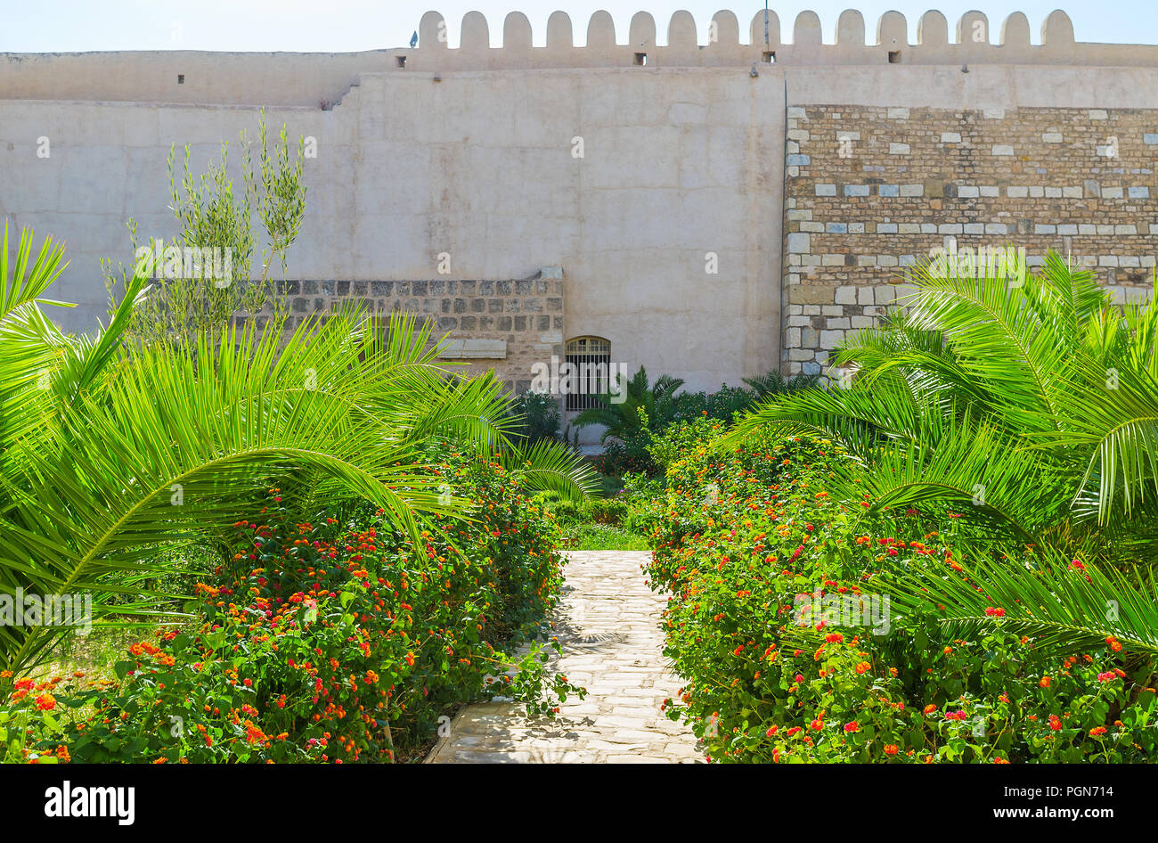 The Kasbah of Sousse boasts scenic garden with palms and lush flower beds along the narrow stone alleys, Tunisia. Stock Photo