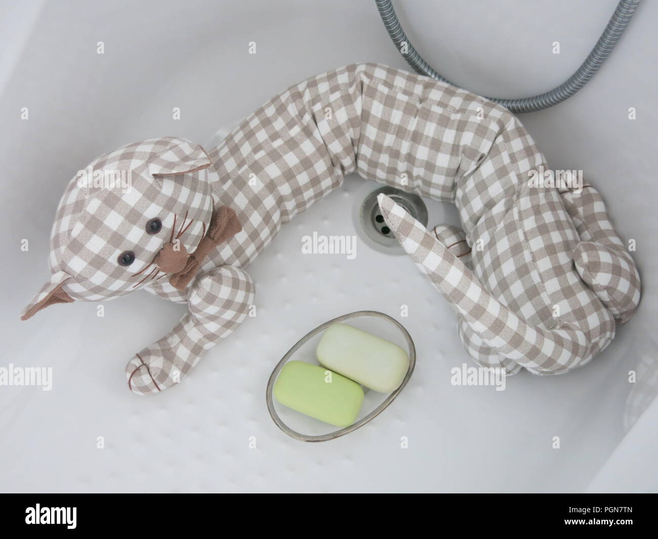 Like all cats, this cloth cat made from a gingham material likes to keep clean and have a regular bath Stock Photo