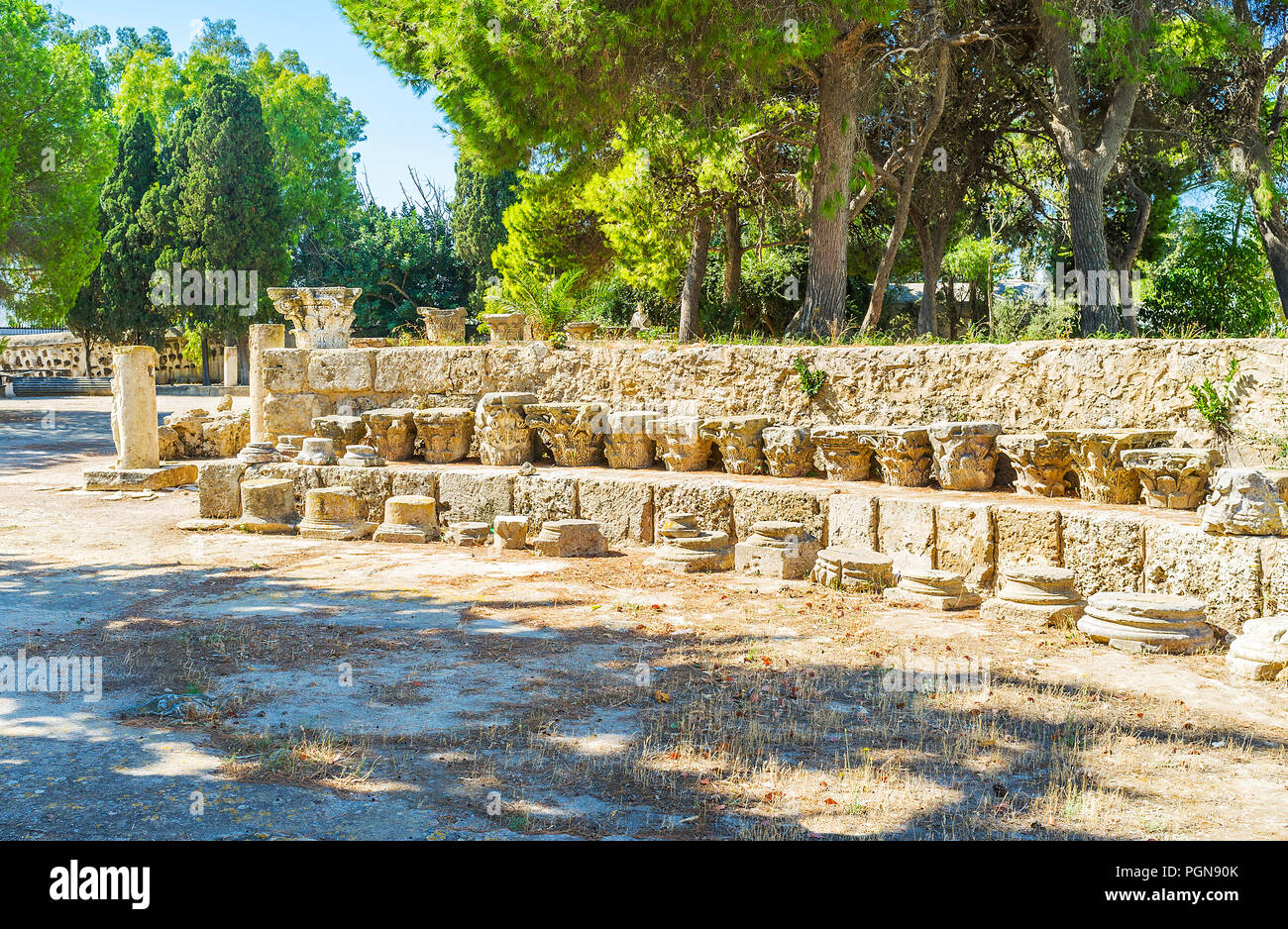 Carthage Pattern The rows of antique capitals of columns with preserved carved patterns ...