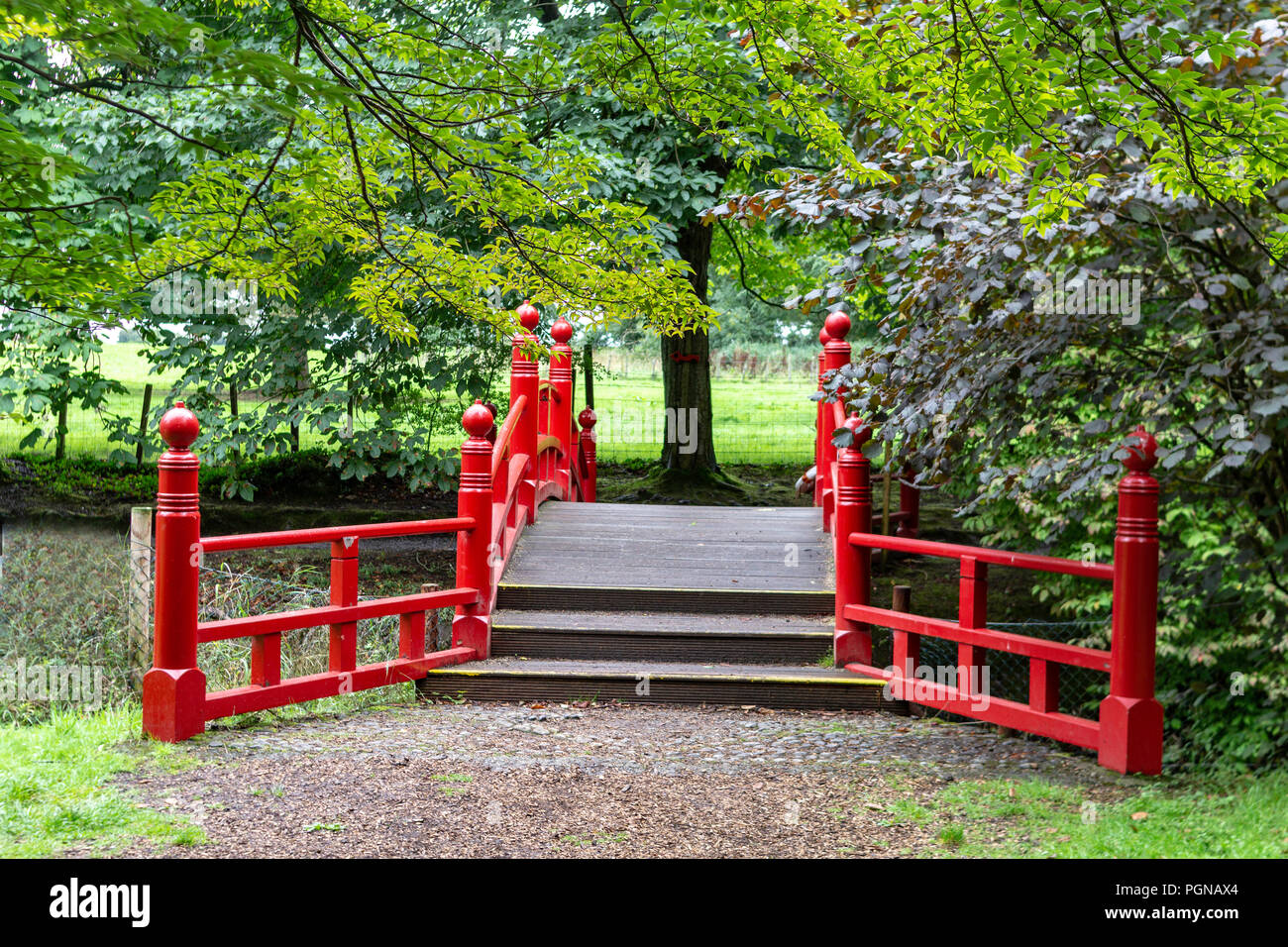 Wooden bridge surrounded trees hi-res stock photography and images - Alamy