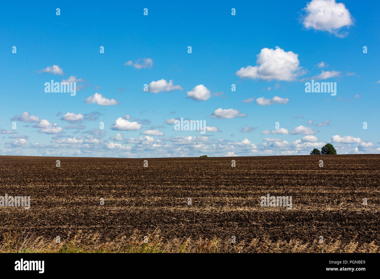 Grass field, green spring landscape with a beautiful sky Stock Photo ...