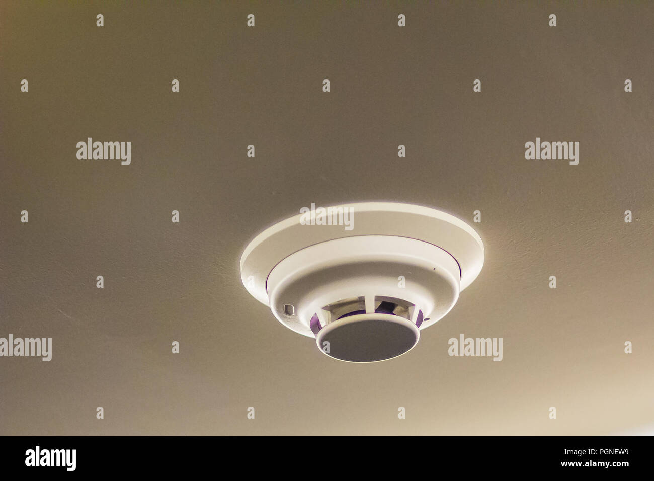 Close up white smoke detector on the ceiling Stock Photo - Alamy