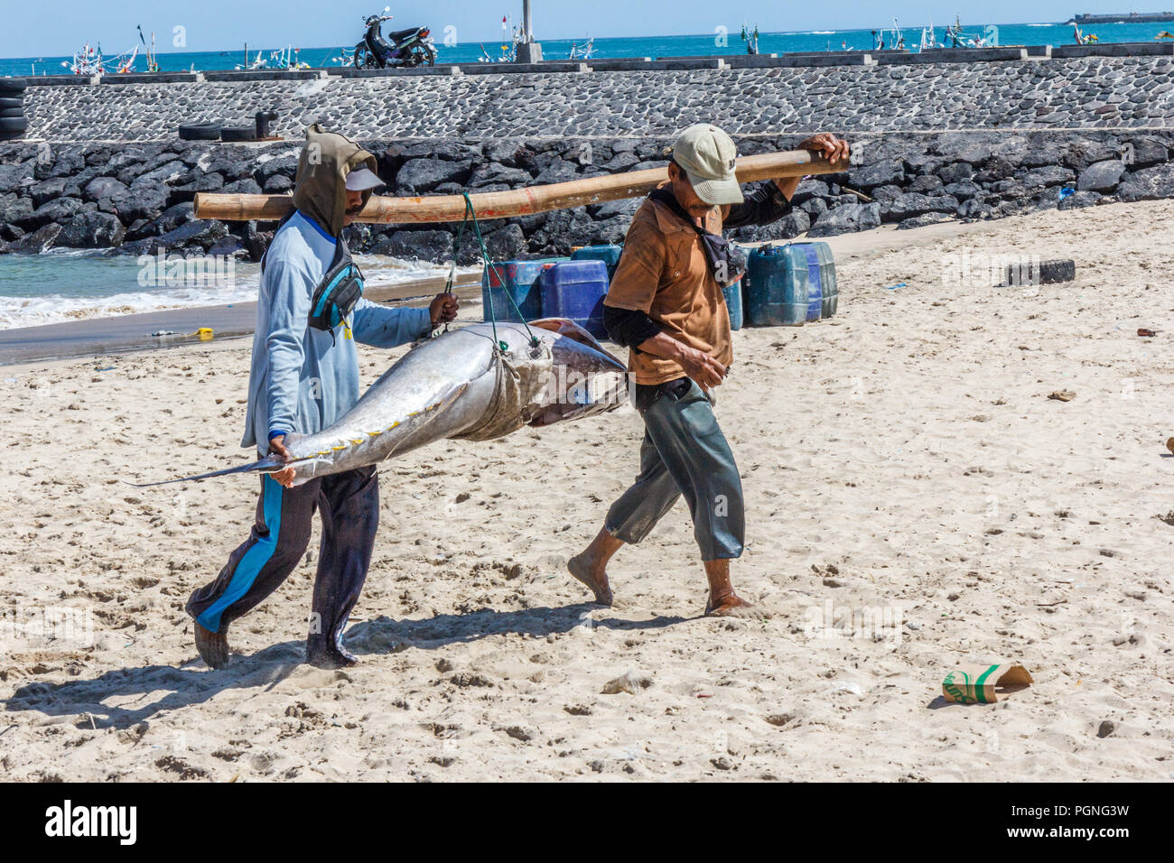 Bali, Indonesia - 30th May 2017: Two men carrying a large tuna fish. Many such fish are landed at Jimbaran beach. Stock Photo