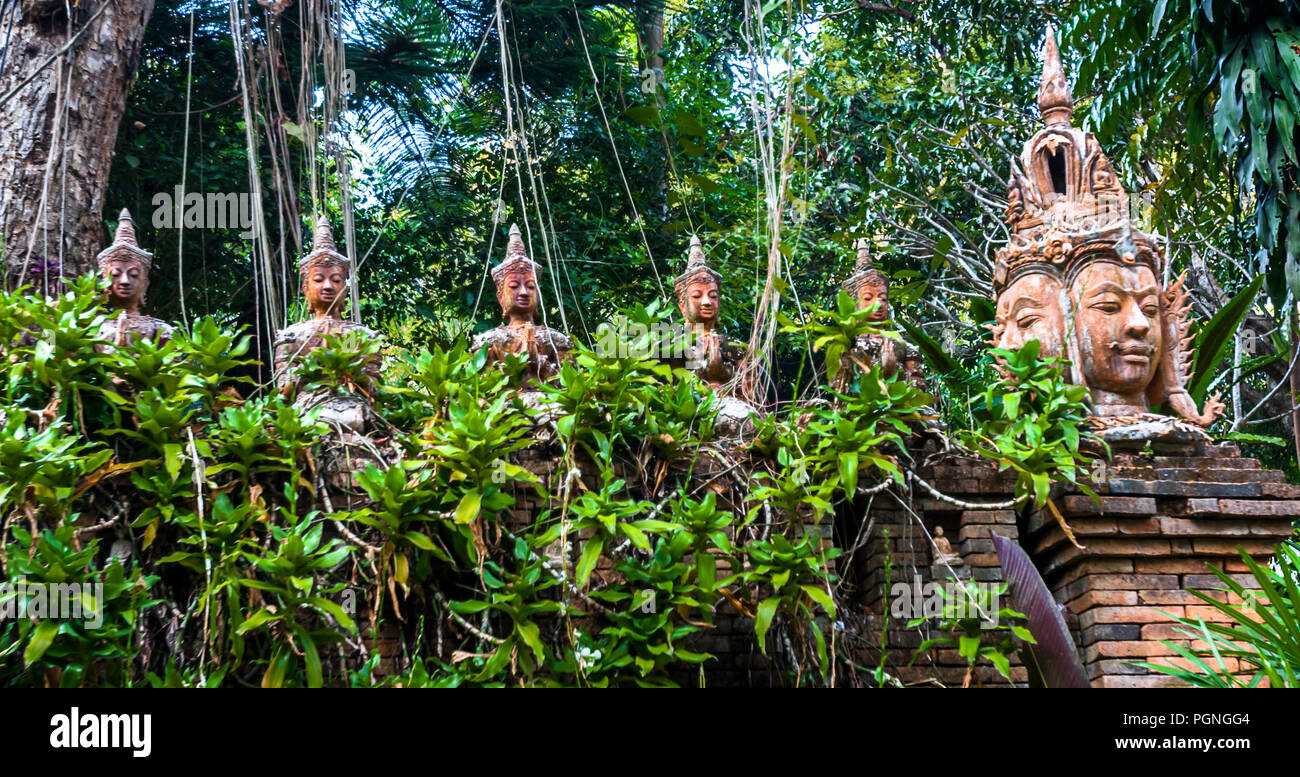 Buddha heads in the jungle at Wat Pha Lat, Chiang Mai mountain Stock